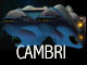 Cambri Ships